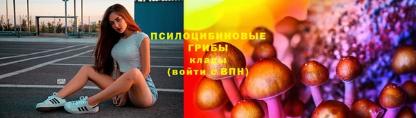 прущая мука Армянск