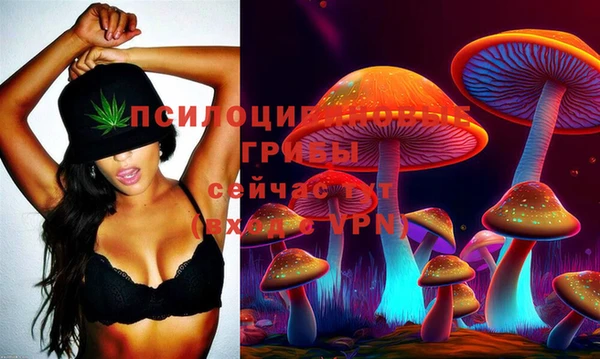 ECSTASY Арсеньев