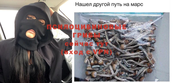 твердый Аркадак