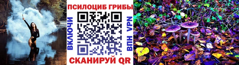 Псилоцибиновые грибы Psilocybe  OMG ONION  Советская Гавань 